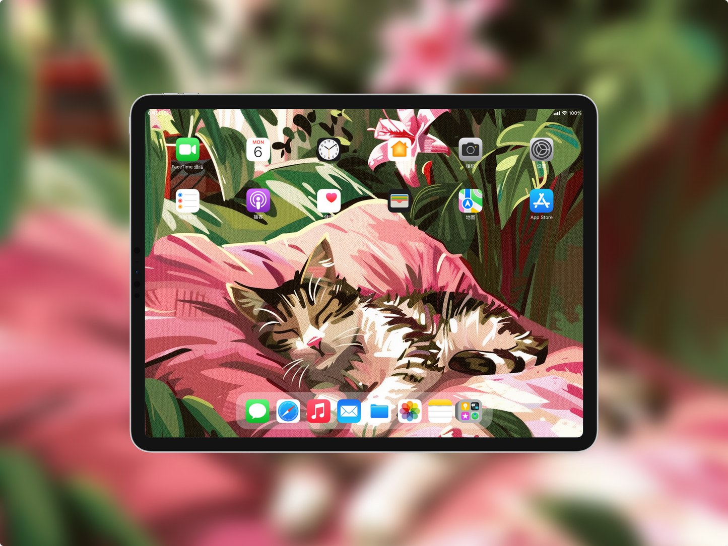 Sarasvati Energy Wallpaper "Sweet Dream Tiger Kitty" Série Lucky&Interpersonal Relationship&Bless HD Édition limitée