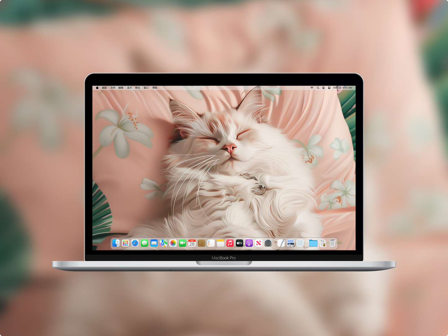 美音天能量壁紙“好眠布貓貓"好運系列 高清 限量发行 Sarasvati Energy Wallpaper "Good Dream Ragdoll Kitty" Lucky series HD Limited edition