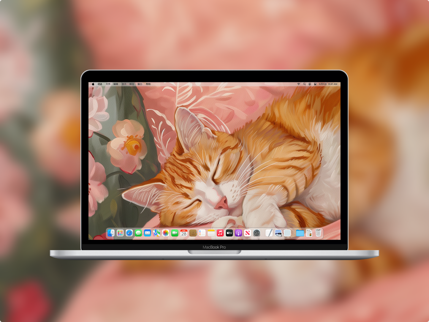 美音天能量壁紙“好眠橘貓貓"好運系列 高清 限量发行 Sarasvati Energy Wallpaper "Good Dream Orange Kitty" Lucky series HD Limited edition